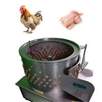 Máquina de matanza y desplumado de pollos de gran oferta con eliminación automática de plumas con bomba y cojinete de componentes centrales