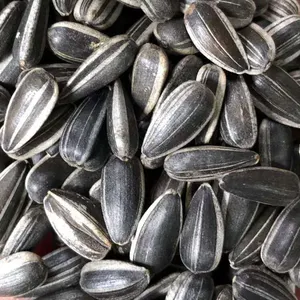 Delicious nutrient high quality healthy organic delicious raw sunflower seeds