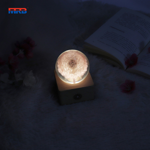 Cadeau de noël pissenlit 3D boule de cristal veilleuse batterie Base <span class=keywords><strong>en</strong></span> <span class=keywords><strong>bois</strong></span> Led lampe d'ambiance pour fleur résine <span class=keywords><strong>globe</strong></span> veilleuse - Product Image 4