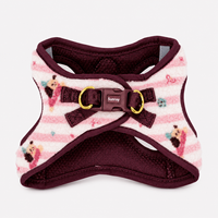 Harnais Sunraymascota personnalisé en velours Teddy, tendance, écologique, réglable, anti-évasion, avec clip frontal, double boucle et détails dorés
