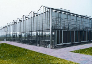 Rõ ràng tấm polycarbonate rỗng linh hoạt tốt bền nhà kính mái tường Bảng điều khiển cho các ứng dụng ngoài trời hiện đại - Product Image 6