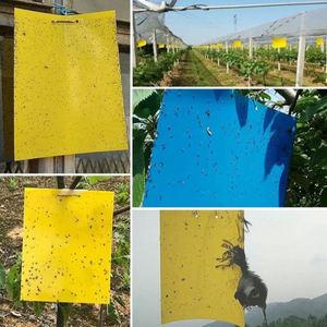 Bẫy Dính Hai Mặt Màu Vàng Giá Bán Buôn Chất Lượng Cao Cho Côn Trùng Bay Trong Nhà Kính - Product Image 2