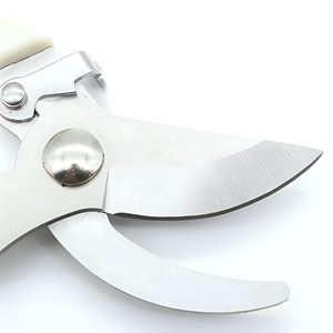 Tijeras de Podar para Bonsái NOVISON de Acero Inoxidable de Grado Industrial con Hoja Curva y Mango Suave, con 3 Años de Garantía - Product Image 2