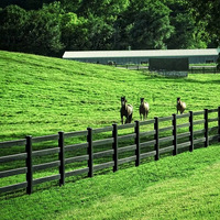 Poste de Panel de Cerca Personalizado de Plástico PVC Negro de Alta Resistencia con 3 Rieles para Enterrar para Ganado, Vacas, Ovejas y Caballos