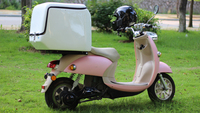 Boîte latérale ou arrière de moto de livraison de nourriture de pizza de FRP avec le ressort à gaz de compression pour annoncer le modèle NO.JYB-04