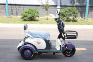 Vente en gros <span class=keywords><strong>Tricycle</strong></span> électrique 3 roues d'<span class=keywords><strong>occasion</strong></span> <span class=keywords><strong>pas</strong></span> <span class=keywords><strong>cher</strong></span> pour adultes - Product Image 6