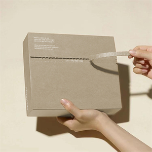 Caja de correo personalizada con tira de rasgado, embalaje de palo de autosellado, cartón corrugado biodegradable, cajas de papel postal con cremallera - Product Image 1
