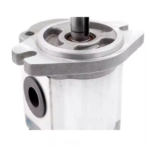 CBHS-FL-316 16 cc/rev usine directe et personnalisable 16 cc/rev pompe à engrenages hydraulique matériel de fonte - Product Image 4