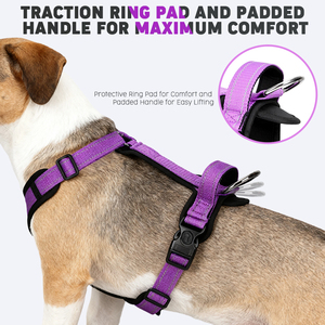 Nouveau <span class=keywords><strong>Harnais</strong></span> pour <span class=keywords><strong>Chien</strong></span> Réfléchissant en Forme de H Personnalisé avec Poignée Rembourrée et Anneau de Protection Anti-Frottement - Product Image 3