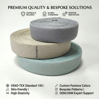 Harga Pabrik Ramah Kulit Nyaman Elastisitas Tinggi Webbing Nilon Kustom Multi Warna MOQ Rendah Ikat Pinggang Elastis untuk Hiasan Pakaian