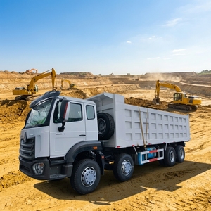 Camion benne basculante Sinotruk Howo diesel d'occasion 8x4 12 pneus, poids lourd, grande capacité, à prix avantageux, à vendre - Product Image 1