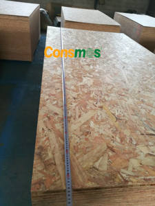 Consmos <span class=keywords><strong>pas</strong></span> <span class=keywords><strong>cher</strong></span> OSB 3 carte 9.5mm 11mm 12mm 18mm osb - Product Image 5