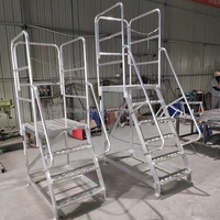 Escalier mobile en aluminium portable pour entrepôt, supermarché, bibliothèque, escalier à 3 marches avec roulettes, fabrication sur mesure