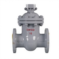 Fabrikverkauf Manuelles Hochtemperatur-Absperrschieber DN100 4 Zoll WCB Standard für Wasser, Gas und Öl