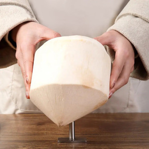 Abridor de cocos de acero inoxidable, perforador rápido para cocos frescos, insertador de pajitas, herramienta específica para cocos, solo lavar a mano - Product Image 4