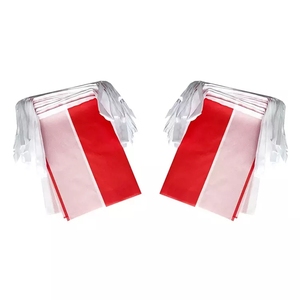 Bandera Cuerda Fútbol Deportes 100% Poliéster Bunting Colección en stock <span class=keywords><strong>Mundo</strong></span> Todos los países Mano barata Sosteniendo la bandera de Inglaterra - Product Image 4