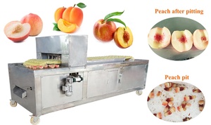 Machine à dénoyauter industrielle professionnelle pour pruneaux, cerises, pêches, abricots, poires / Machine à séparer les graines de pruneaux et de piments - Product Image 6