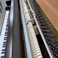 Premium Young Chang Y121 Household Piano Original Reliable Action Full Resonance for Daily Playing and Teaching