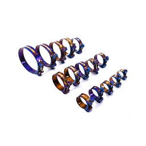 Tùy Chỉnh Phổ Màu Xanh Bolt Tự Động Ống Kẹp Màu Đen Vàng Màu Thép Không Gỉ T-Bolt Ống Kẹp Phổ Kẹp - Product Image 3