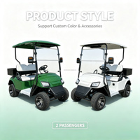 Voiturette de golf électrique 2 places 60V Lithium, buggy de golf 4KW à moteur haute puissance, mini-voiture pour adultes