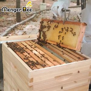 Caja de Abejas de Alta Calidad y Duradera, Caja de Abejas Langstroth, Caja de Abejas de Madera para Apicultura - Product Image 4