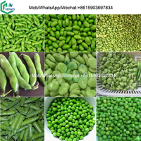Électrique décortiqueur de soja fève éplucheur pigeon pois peeling machine prix