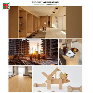 Contrachapado de abedul marino de 25 mm, grado acabado, blanco, barato, impermeable, <span class=keywords><strong>Bbb</strong></span> 18 Ddp, lámina de 3 mm, 18 mm <span class=keywords><strong>B</strong></span>/Bb, Conacaste - Product Image 6