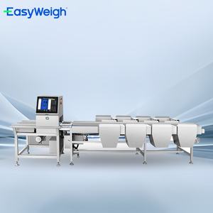 Alta configurazione e stabilità macchina di smistamento automatico di alta precisione per pesatura visiva per frutta e verdura - Product Image 4