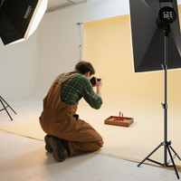 135W Metall-Porträt-Blitzstudio-Lampe Fotografie-LED-Videolicht mit Einstellbarer Farbtemperatur und Fernbedienung