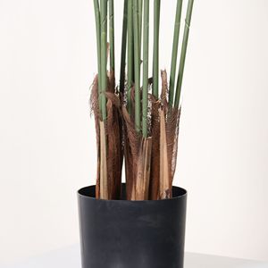 Plante en pot Philodendron Selloum en plastique, plante décorative en plastique pour décoration extérieure, plantes artificielles, arbres artificiels - Product Image 3