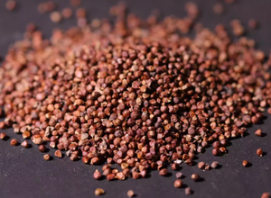 100g en gros, fruits d'Aframomum Melegueta séchés de haute qualité, poivre de Guinée, grains de paradis bruts naturels séchés au soleil - Product Image 3