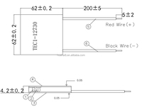 Module Peltier TEC1-12730 62x62mm 12V – Système de Refroidissement Thermique, Climatiseur, Kit Cellule de Réfrigération TEC
