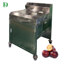 Dq Guangzhou Daqiao Industriële Commerciële Fruit Snijmachine Kern Motor Component Voor Vers Fruit Verwerking Productielijn