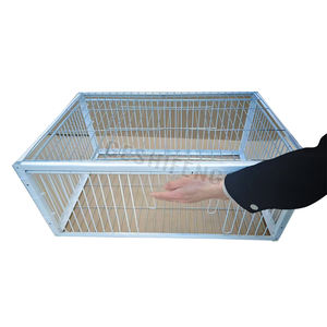 Piège à oiseaux galvanisé de taille multiple <span class=keywords><strong>Cage</strong></span> de pigeon sauvage Humane Way avec l'entrée à sens unique Piégeage des pigeons dans les cages - Product Image 5