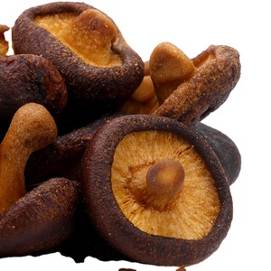 Fournisseur d'usine, saveur douce, champignon croustillant - Sachet de 50g de la nourriture la plus vendue en Chine, texture dure, aliment sain. - Product Image 5