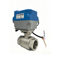 Vanne à boisseau sphérique électrique modulante 4-20 mA en acier inoxydable 316L DN8-DN50 pour systèmes de contrôle d'eau, d'huile et de gaz