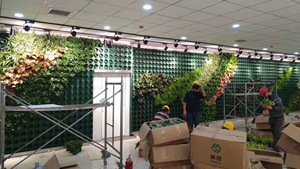 Jardinières murales verticales modernes en plastique vert, pots auto-arrosants pour plantes d'intérieur et d'extérieur, plantes murales vertes écologiques - Product Image 6