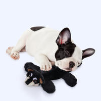 Jouet interactif pour chien en peluche, coque en cuir résistante à la mastication, pour l'exercice des molaires, couineur apaisant, grande collection pour animaux de compagnie