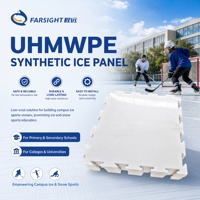 Panneaux de glace synthétique UHMWPE, patinoire artificielle pour le hockey sur glace, le curling, le broomball, l'entraînement et le patinage