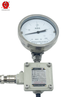 Termómetro Bimetálico a Prueba de Explosiones BWSSP Ex d IIC T6 Gb Pt100 RTD con Salida Remota, Carcasa de Acero Inoxidable, Indicador de Dial, OEM/ODM, IP66 1.5/2.0