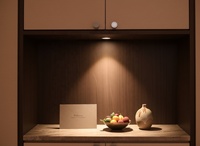 Einbau-Vitrinenspot Verstellbarer LED-Downlight für Regale Teeschrank-Vitrinen Sammlerstück-Vitrinen 5061-22