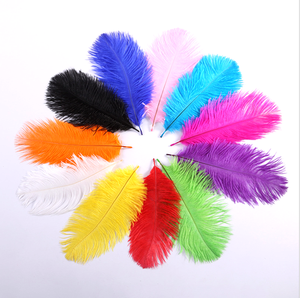 La migliore vendita di trasporto HP-17 Colori Tinti Artificiale all'ingrosso Naturale Della Piuma Dello Struzzo e <span class=keywords><strong>Bianco</strong></span> Della Piuma Dello Struzzo - Product Image 4