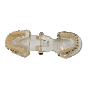 Dental Orthodontic Model Resin Typodont with Metal Bracket <b>Teeth</b> Study Teaching Demonstrator Manual Use Smiledental TM-B7-01 - Product Image 5