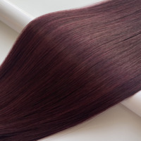 Rambut Remy Premium Double Drawn # Ekstensi Rambut Cina 99j Semua Warna Dapat Diwarnai Sambungan Micro-Link Harga Pabrik untuk Wanita