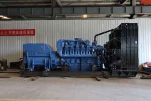 Générateur industriel personnalisable de type ouvert 2026, 100-1600 kW, puissance stable pour les opérations minières - Product Image 2