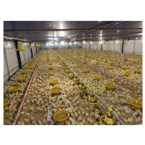 Hot sale control shed equipments chicken farm local houses in africa