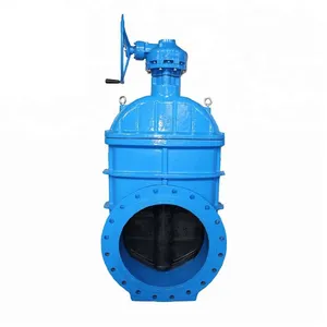 Pn10 Pn16 DIN BS DN300 DN350 14in 16in Water Oil Gas Ductile Iron Flange Ends Manual Gate Valve