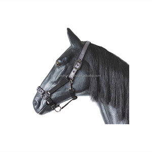Horse <strong>Halter</strong> Deluxe <strong>Halter</strong> With <strong>Satin</strong> and Crystal Equestrian Saddlery - Product Image 1
