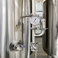 Cuve à bière personnalisable 100L 1BBL en acier inoxydable 304 de qualité alimentaire avec enveloppe dimple, meilleure vente, offre spéciale à durée limitée