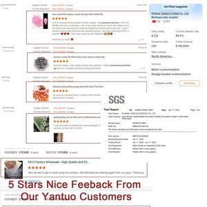 Topaz Bling Flat Back Nicht Hot Fix Kristall Strass in loser Schüttung für Nail Art - Product Image 5